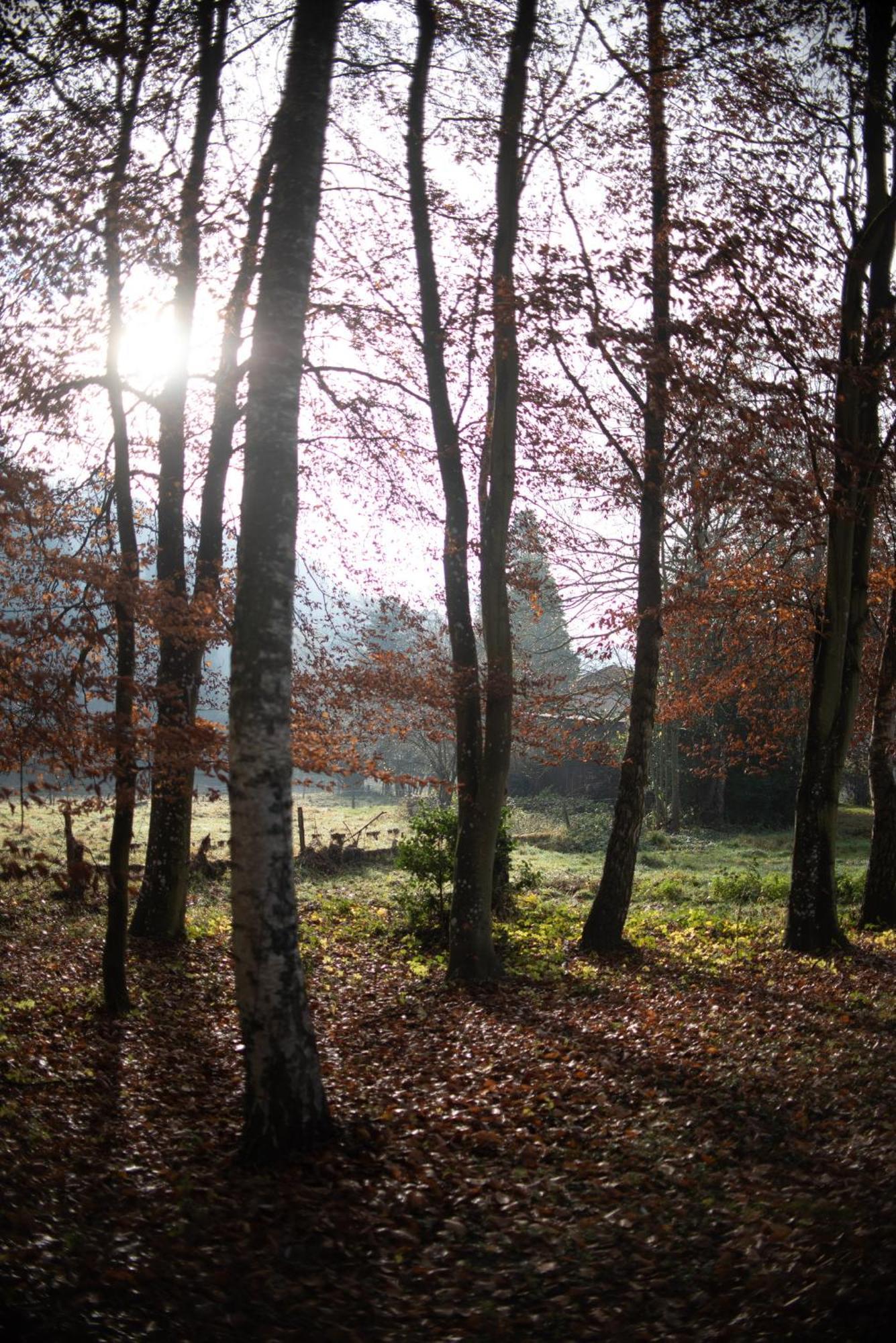 Ecolodge Du Moulin Aywaille Zewnętrze zdjęcie